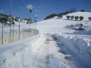 Ingresso al Campo, 14 Febbraio 2012